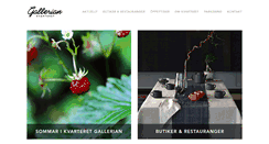 Desktop Screenshot of gallerianeskilstuna.se